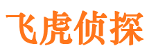 镇沅外遇出轨调查取证